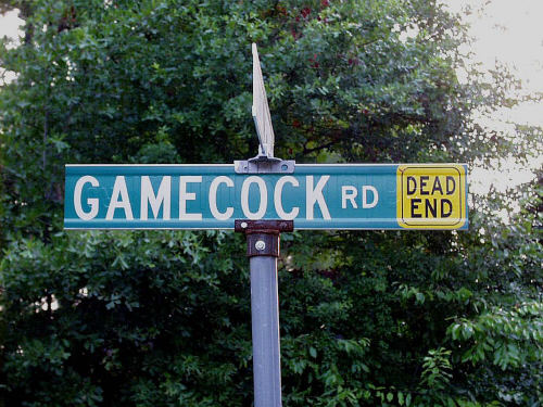 gameockrd.jpg